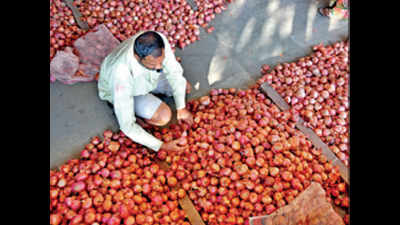 Sale of imported onions brings down prices in Nashik