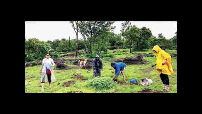 Row over PMC contractor’s claim on plantation on hill
