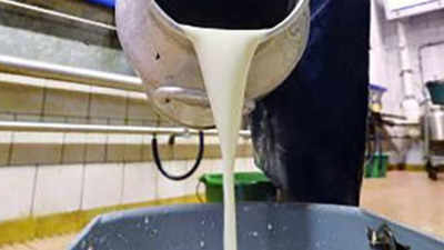 Cooperatives absorb Covid-19 shock, assist milk farmers beat crisis