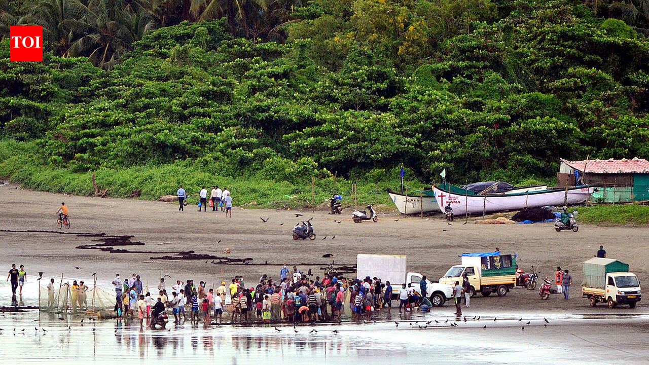 The Goa panorama