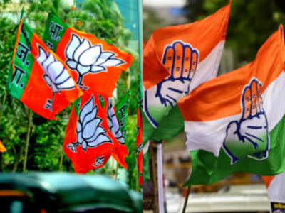 BJP seat share in Ladakh council shrinks from 18 to 15, Congress gains 4