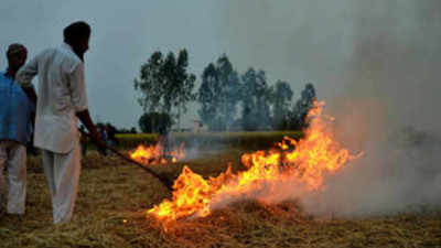 Will set up statutory body to curb farm fires, Centre tells SC