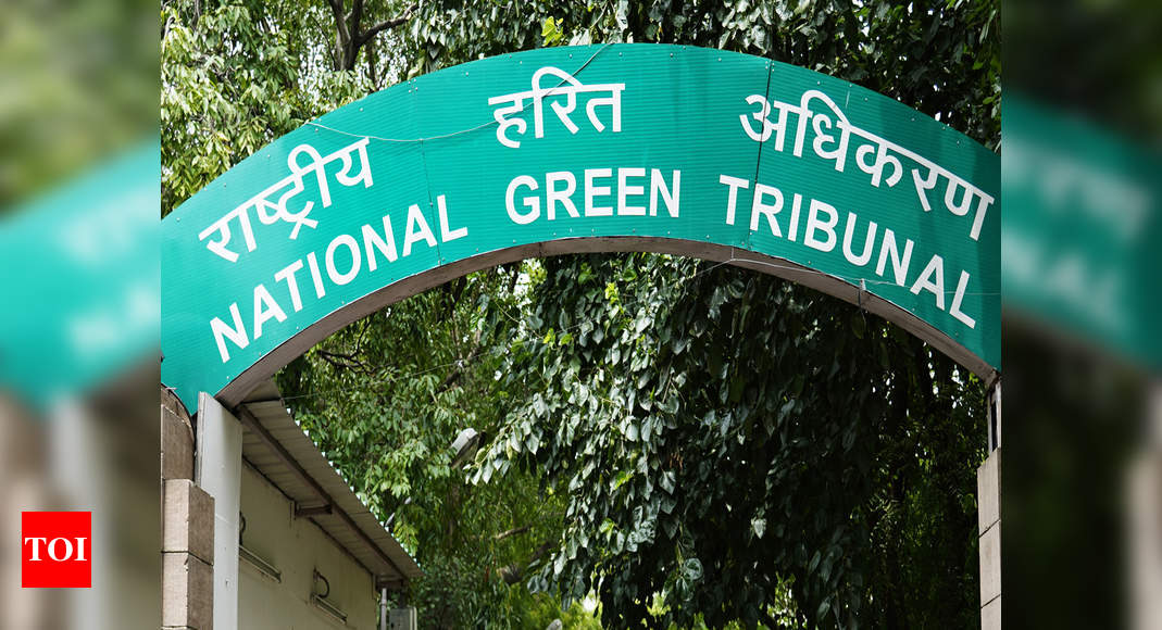 chennai-national-green-tribunal-forms-panel-to-study-stormwater-drain