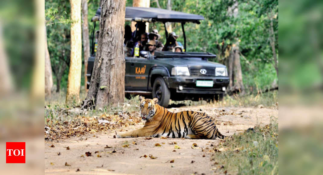 Karnataka Nugu safari stopped due to tech issues Mysuru News Times