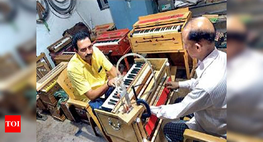 Indian deals pump organ