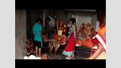 Maharashtra: FIR for animal sacrifice at Kamptee temple
