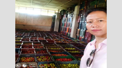 Arunachal Pradesh: In Ziro Valley, a mission to turn discarded fruits into wine