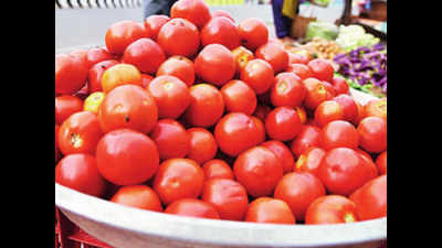 Telangana govt to sell tomatoes at reduced price