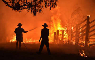 Australia bushfire inquiry warns 'compounding disasters' to come