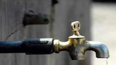 Delhi: Water supply to be hit as Yamuna shows spike in ammonia levels
