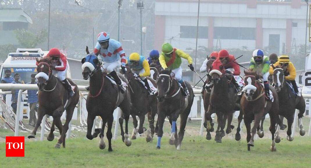Bengaluru Horses Back In Action From Rajyotsava Day Bengaluru News Times Of India