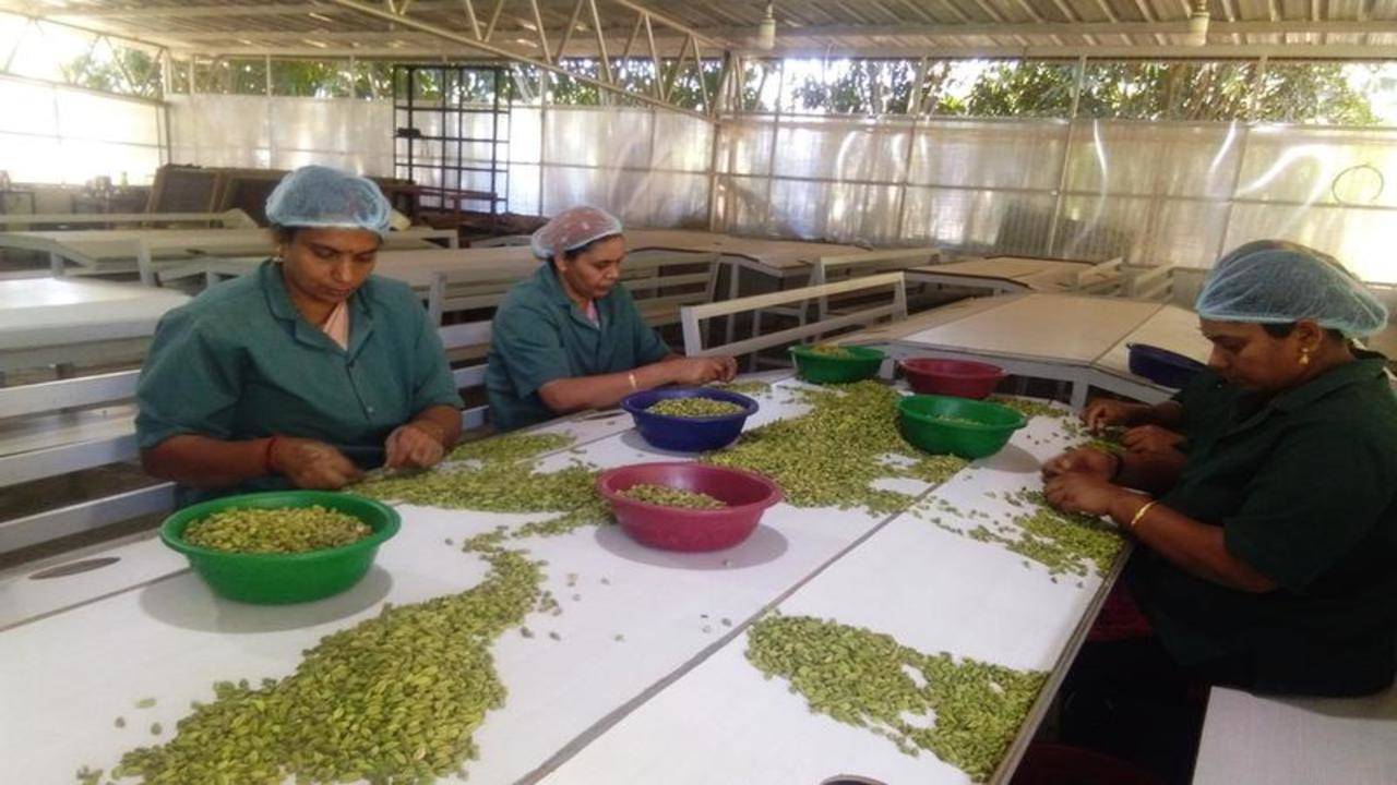 cardamom price in hyderabad