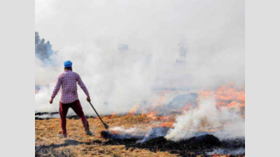 Farm stubble fires rage in Punjab, add to ‘poor’ air quality index