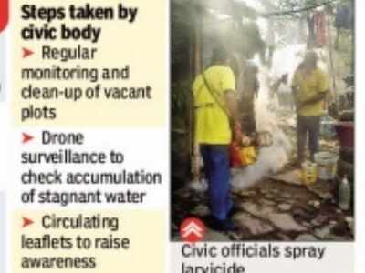 Dengue homework card 05 picture