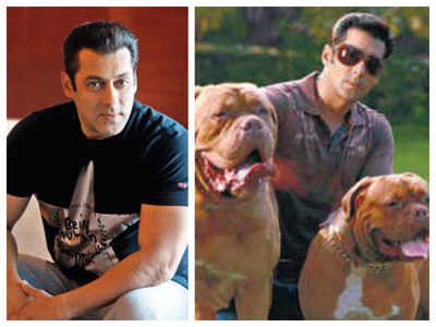 Throwback time! When Salman Khan continued shooting after a pet dog's funeral during ‘London Dreams'