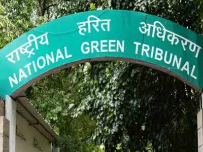 NGT widens ambit of firecracker pollution cases beyond NCR, notices to 18 states, UTs