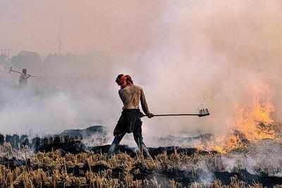 Stubble burning: Over 1,100 FIRs lodged, 2k booked in UP