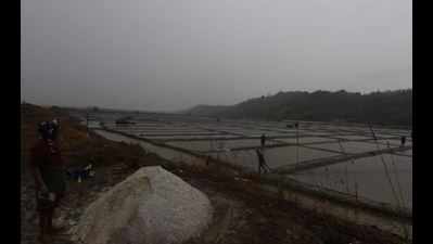 Himachal Pradesh mines to start production of rock salt in three months