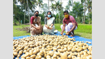 Kerala: State award winning youth farmer starts potato and small onion cultivation for his villagers