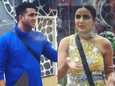 Bigg Boss 14: Aly Goni tells good friend Jasmin Bhasin to respect Eijaz Khan, says ‘You should understand he is a very senior actor’