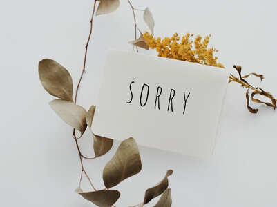 The five apology languages and how to use them