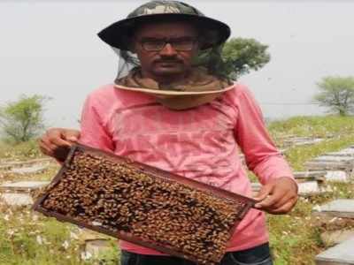 Reaping honey-sweet success in Banaskantha, educated young farmers shun jobs, take to honey bee farming