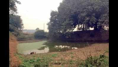10 Ghaziabad ponds to be restored in 6 months