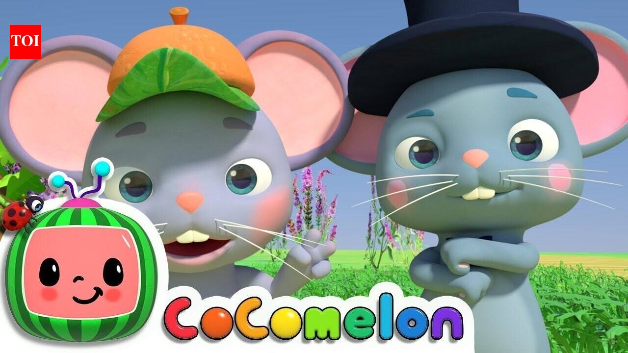 Watch Popular Kids Songs and English Nursery 'The Country Mouse And The ...
