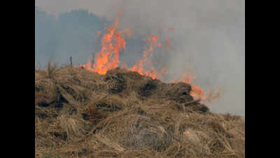 Special teams to curb stubble burning in Kolkata