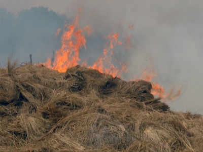 Stubble burning cases in Punjab near 63,000