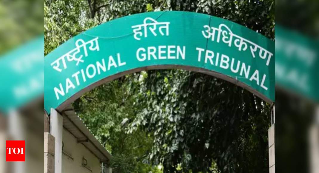 forest-laws-cannot-be-defeated-by-allowing-encroachments-ngt-india