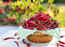 Want to live a long and healthy life? Have chilli pepper