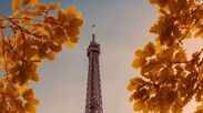 Eiffel Tower, Paris