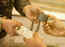 Everything you need to know about exchanging jewellery in India