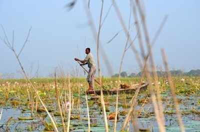 Begusarai wetland becomes Bihar’s first & India’s 39th site of international importance