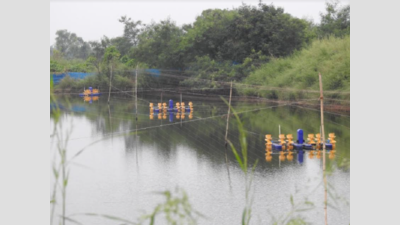 Navi Mumbai: Kharghar nature lovers complain of further loss of wetlands, biodiversity