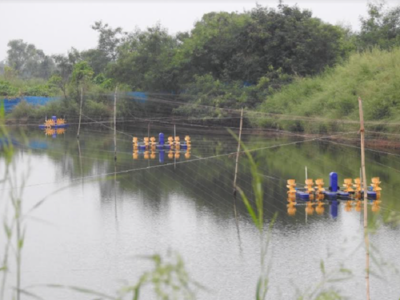 Navi Mumbai: Kharghar nature lovers complain of further loss of wetlands, biodiversity