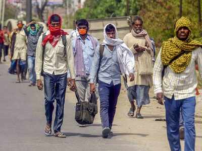 Government begins skill training of 3 lakh migrant workers in 116 districts