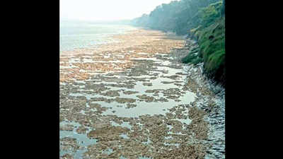 Vadodara: Toxic froth floats on Mahisagar river, GPCB begins probe
