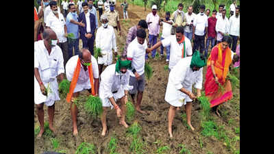 Karnataka: BC Patil has field day in KR Pete village