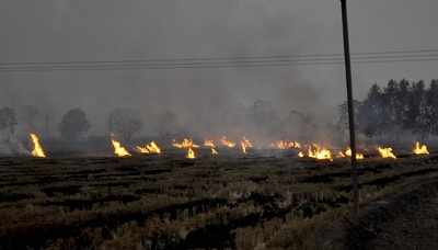 Stubble burning: Maximum cases in Punjab; anger over farm bills among major reasons