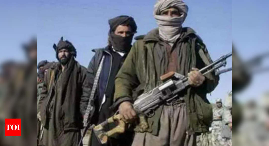 152 Pakistani terrorists operating in Afghanistan killed - Times of India