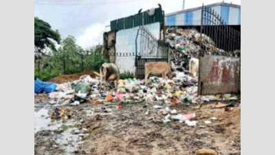 In Chitlapakkam, garbage spills over waste segregation unit