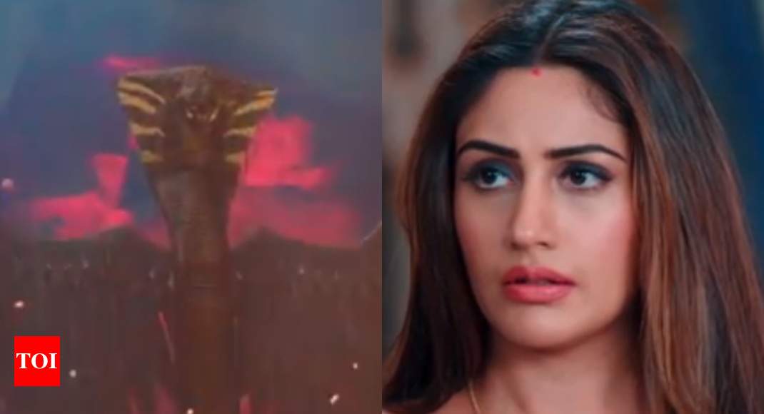 Naagin 5 update November 15 Bani s enemy Markat arrives Times