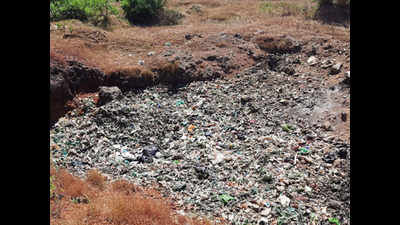 Dumped garbage raises a stink at Goa's Kadamba plateau