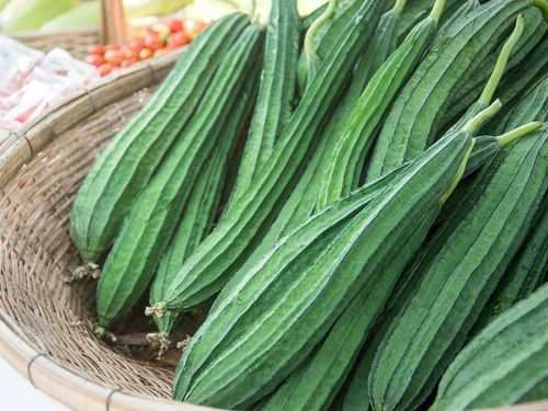 Ridge Gourd Benefits Ridge Gourd Benefits And Easy Ways To Use It