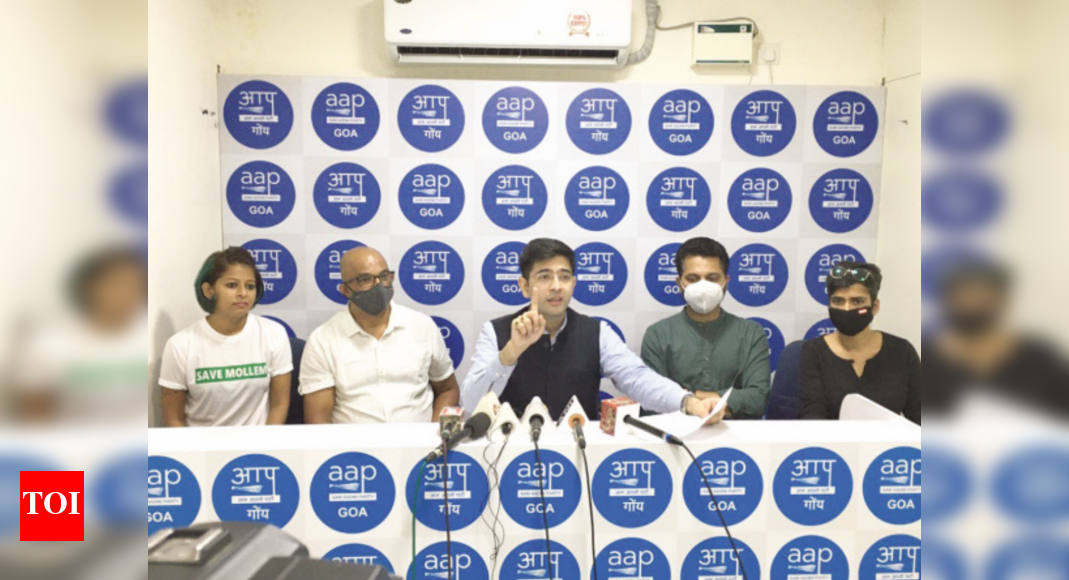 AAP vows zero power bills to 73% of Goa if elected | Goa News - Times ...