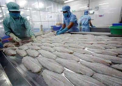 China says Covid-19 detected on more fish exports from India amid growing criticism
