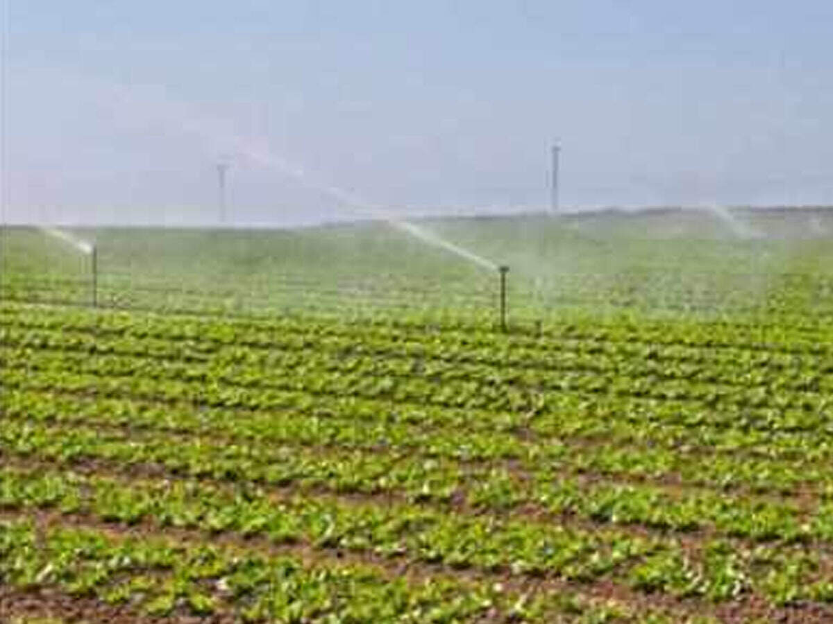 Drip Irrigation In Up S 30 000 Villages In 2 Years Lucknow News Times Of India