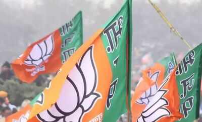 Now, BJP eyes Telangana, TN; decides to go all out | India News - Times of India